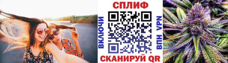 Купить  Моздок  Бошки Шишки ГИДРОПОН 